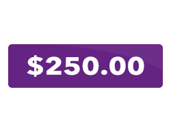 A purple button that says `` $ 250.00 '' on a white background.