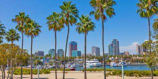 Palm trees in front of a marina with sailboats and city skyline on a bright, sunny day.