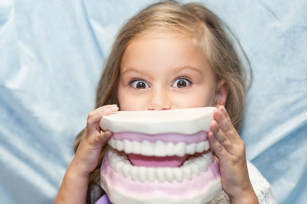 A Child Holding Large Foam Teeth — Dentist in Kanwal, NSW