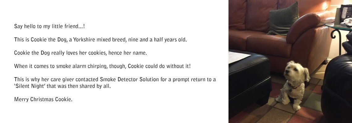 Cookie