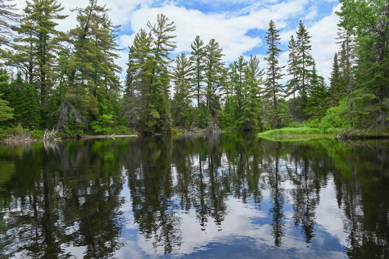 Conservation Easements Conservation Easements