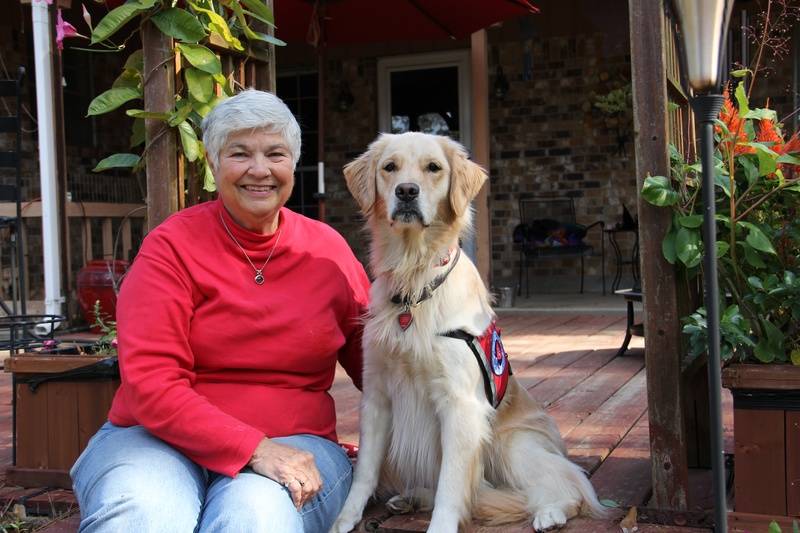 Gabby, AKC Certified Therapy Dog