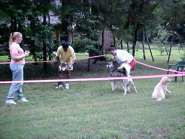 Linda conducting a group handling lesson