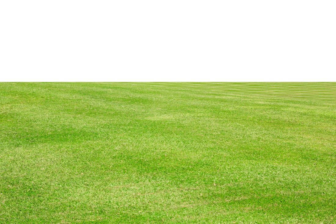 prato di campo da golf