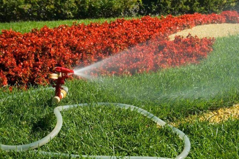 irrigazione di aiuole
