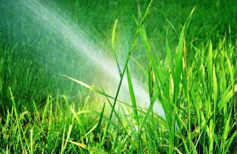 irrigazione