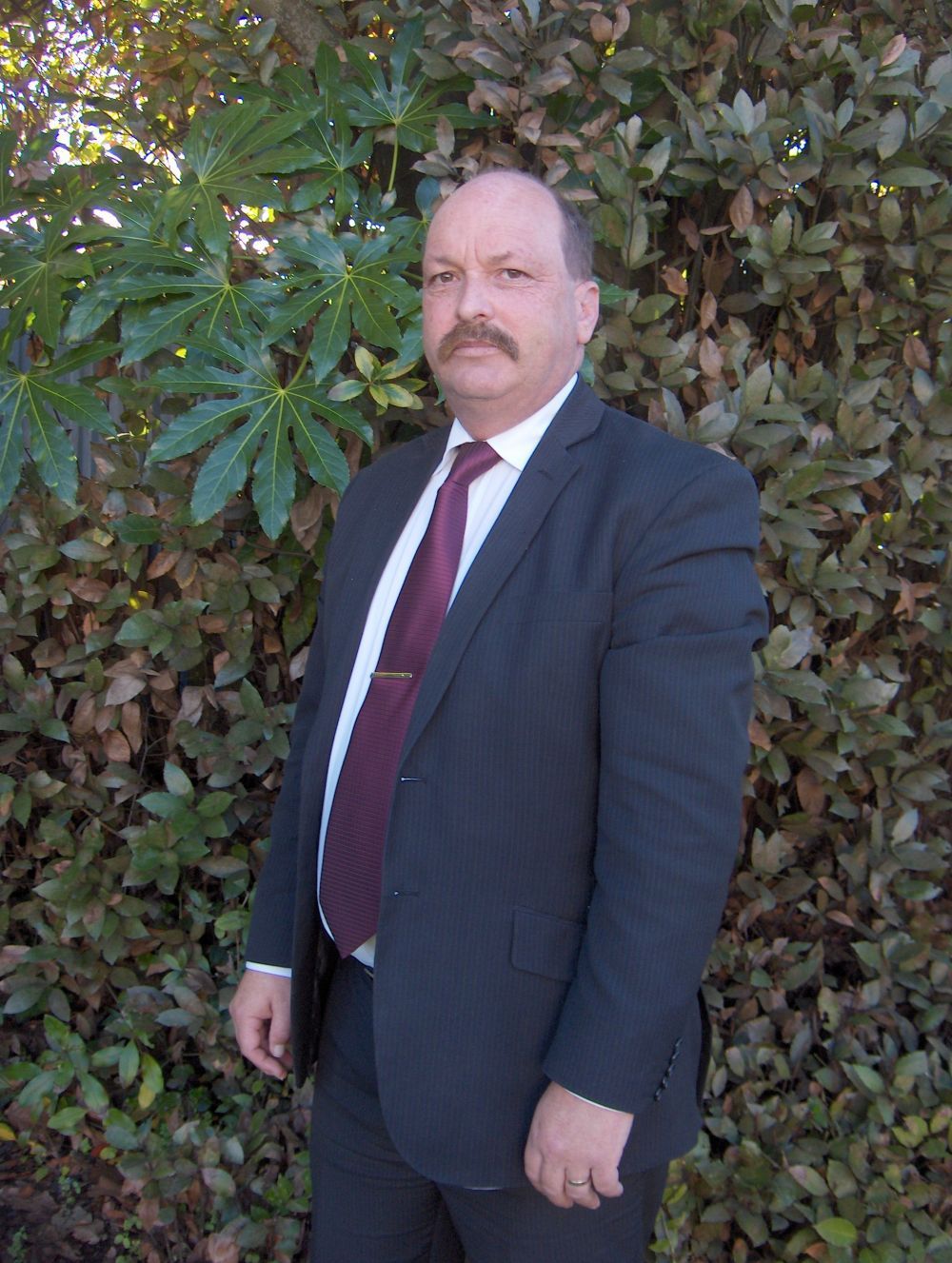 Greg Steel