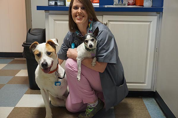 Dr. Bachmann — Louisville, KY — Dixie Animal Hospital