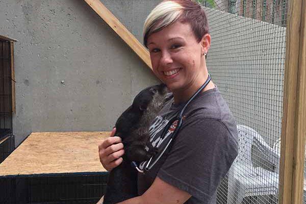 Dr. Jill H Cook — Louisville, KY — Dixie Animal Hospital