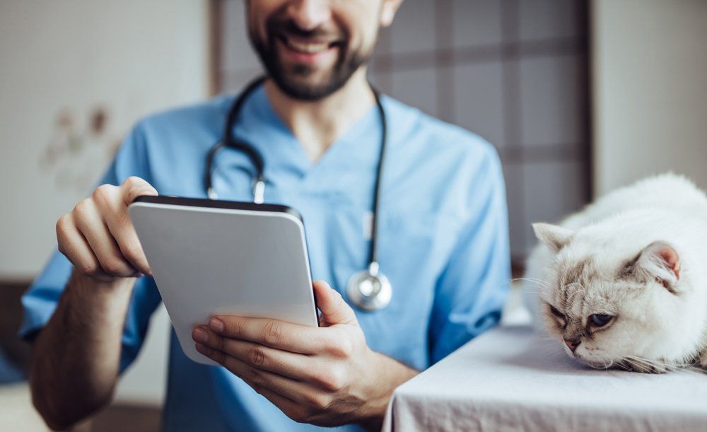 A Veterinarian Holding a Mobile Phone — Louisville, KY — Dixie Animal Hospital A Veterinarian Holding a Mobile Phone — Louisville, KY — Dixie Animal Hospital