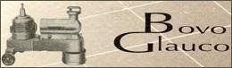 http://www.bovolucidaturamarmi.it Bovo_glauco