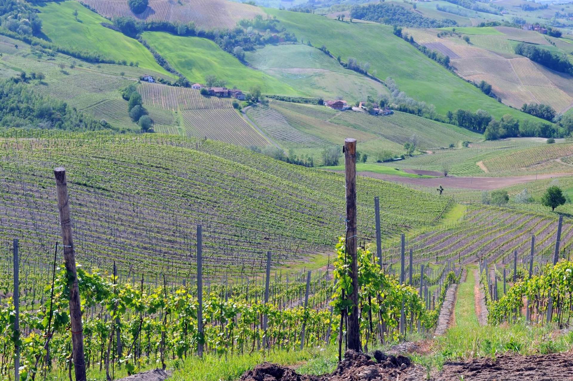 La Franciacorta