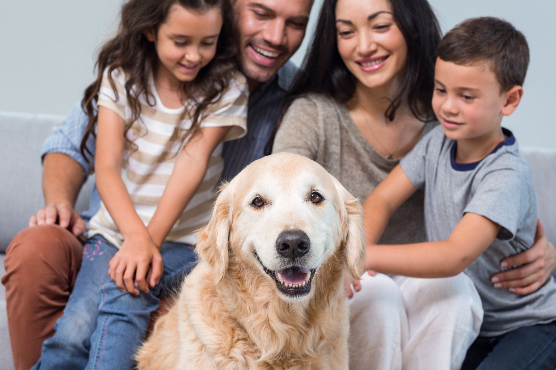 National Property Management Pet Friendly Rentals