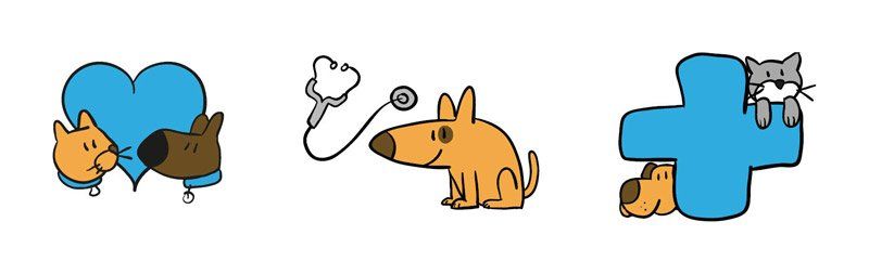 toronto veterinary clinic