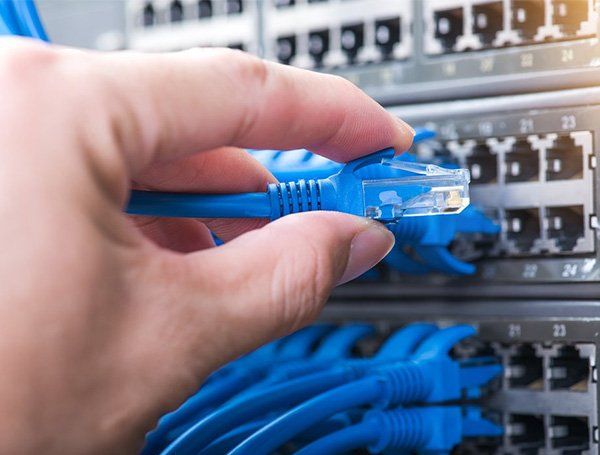 Blue Colored Internet Cables — Sonic Digital In West Gosford, NSW