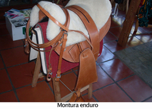 nuestra-veterinaria