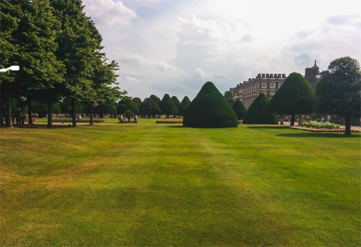 Grass — Garden Maintenance in Central Coast, NSW Grass — Garden Maintenance in Central Coast, NSW