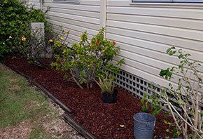Gorgeous landscape garden — Garden Maintenance in Central Coast, NSW Gorgeous landscape garden — Garden Maintenance in Central Coast, NSW