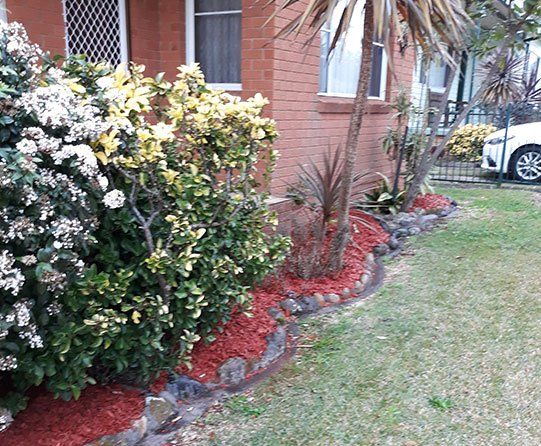 Clean garden — Garden Maintenance in Central Coast, NSW Clean garden — Garden Maintenance in Central Coast, NSW