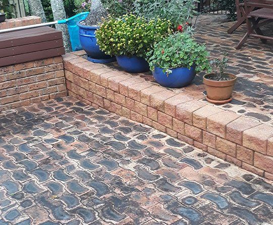 Ornamental plants — Handyman Services in Central Coast, NSW Ornamental plants — Handyman Services in Central Coast, NSW
