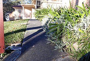 Clean hallway — Home Improvement in Central Coast, NSW Clean hallway — Home Improvement in Central Coast, NSW