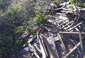 Woods — Rubbish Removal in Central Coast, NSW Woods — Rubbish Removal in Central Coast, NSW