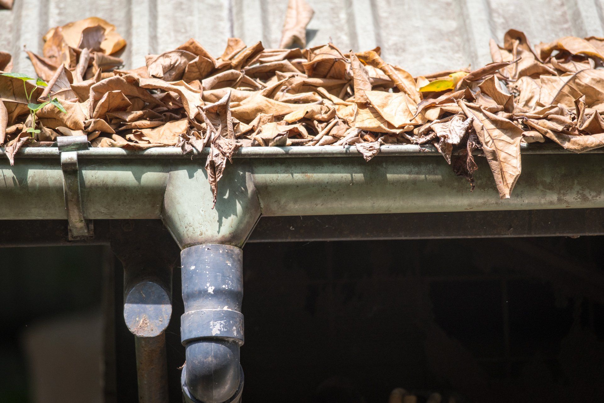 Clogged Gutter And Leafs — Gutter Cleaning in Central Coast, NSW Clogged Gutter And Leafs — Gutter Cleaning in Central Coast, NSW