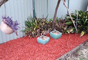 Garden with red grass — About Us in Central Coast, NSW Garden with red grass — About Us in Central Coast, NSW