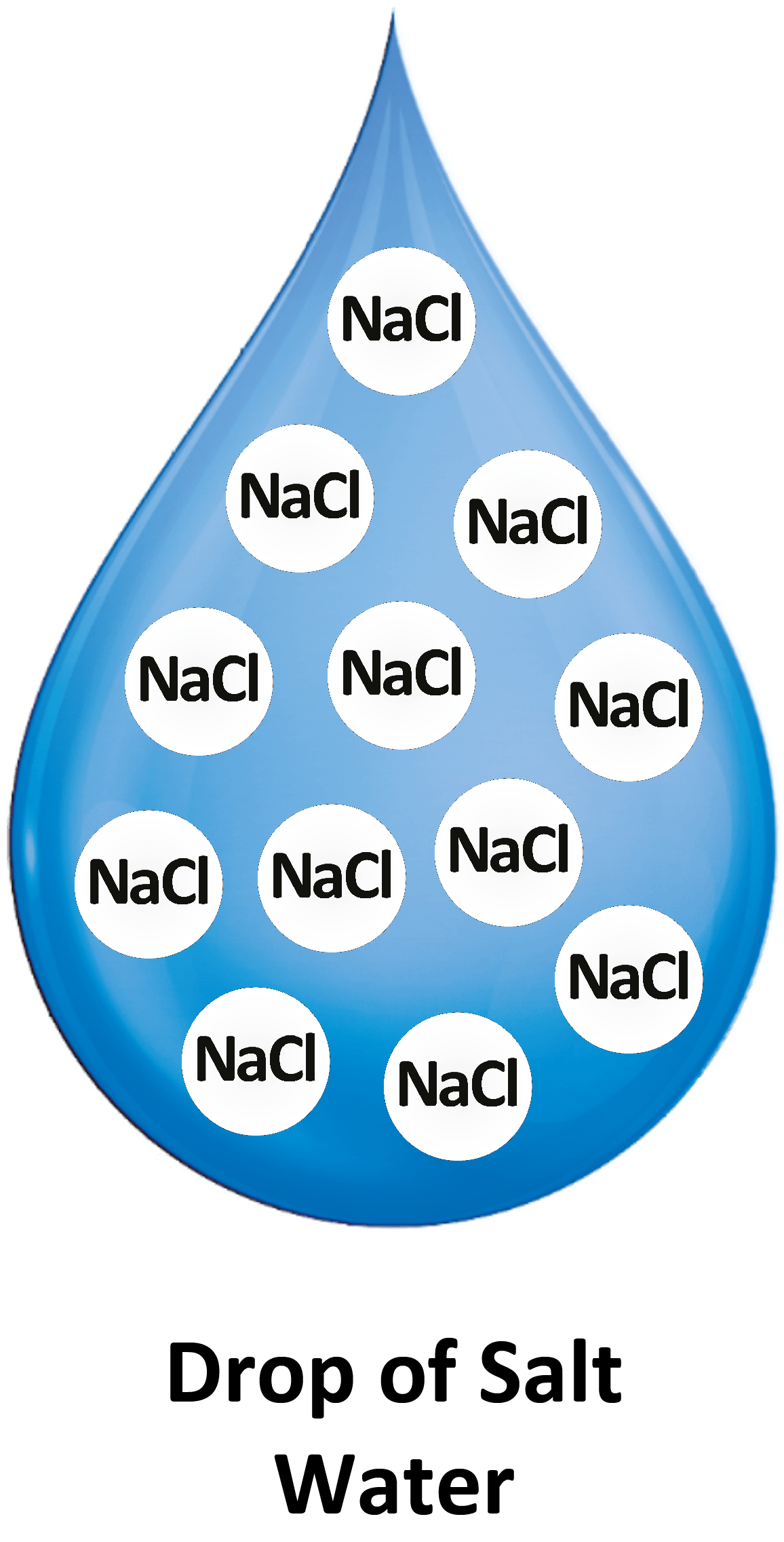salt water diagram