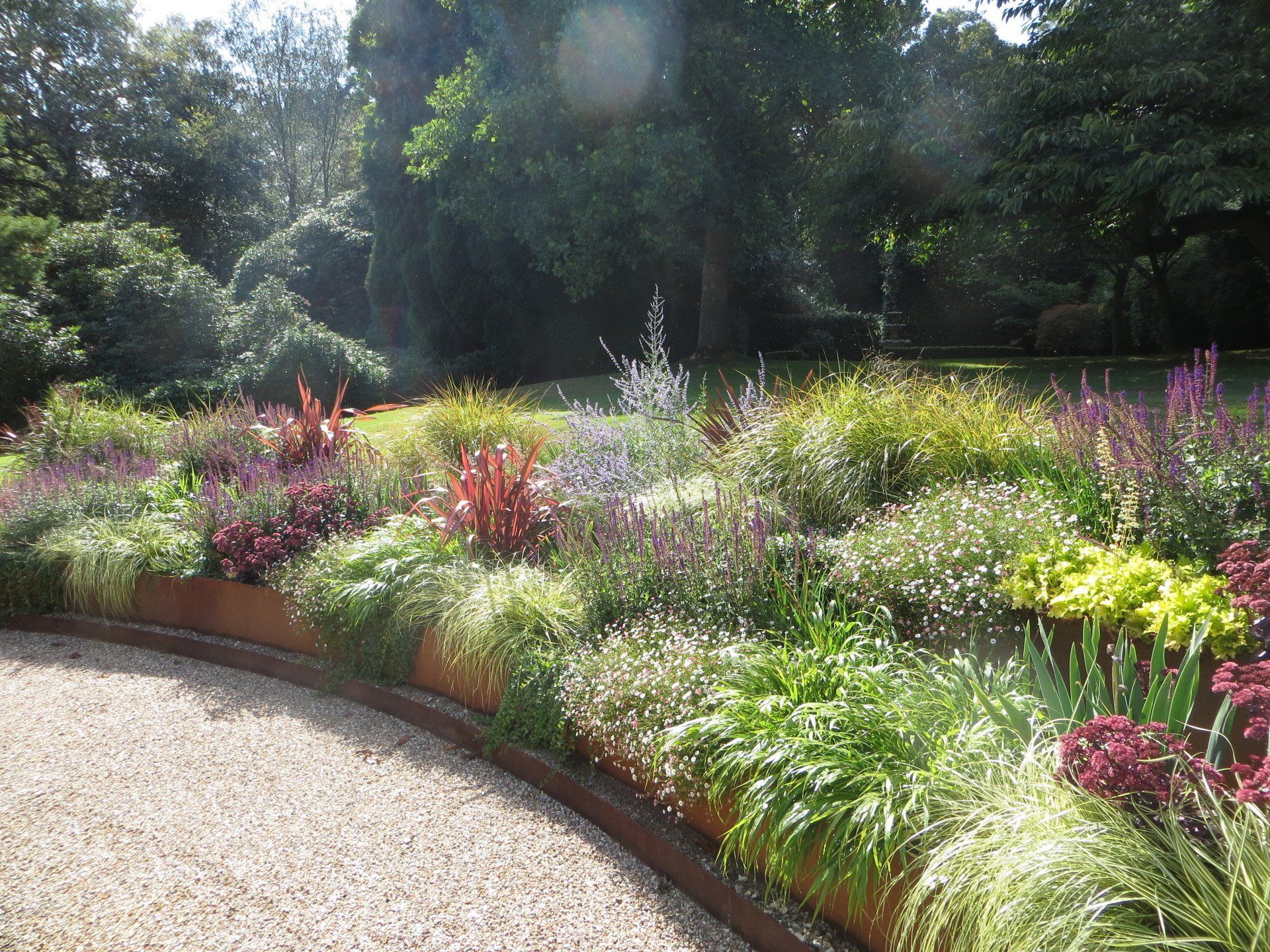 Planting Dorking