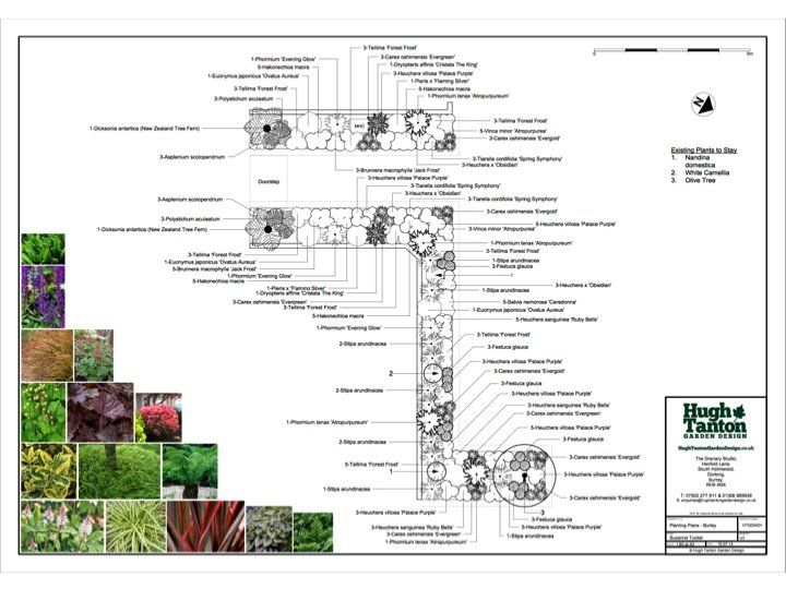 Planting Plan Surrey