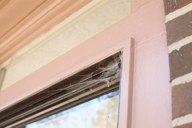Spider Web on Sliding Door - Exterminator in Fort Collins, CO Spider Web on Sliding Door - Exterminator in Fort Collins, CO