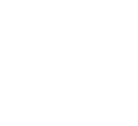 Channicool logo