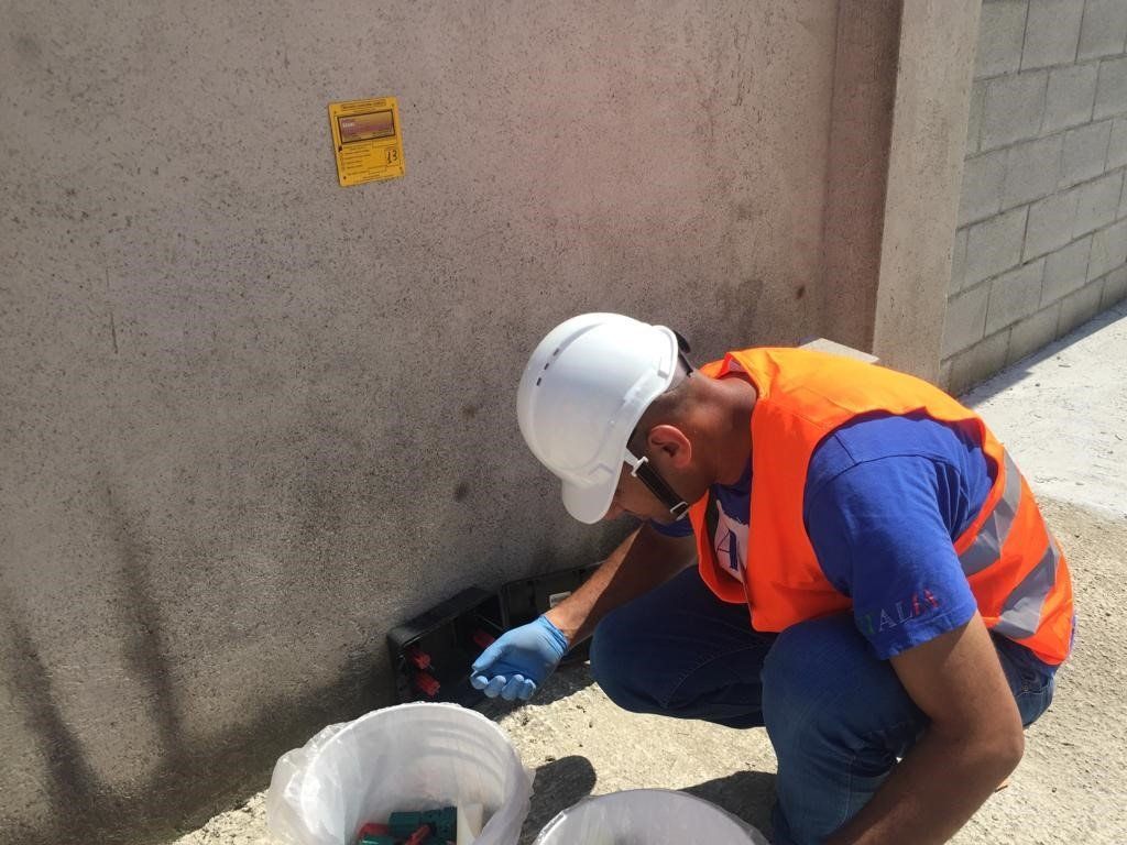 disinfestazione da insetti presso stabilimento industriale