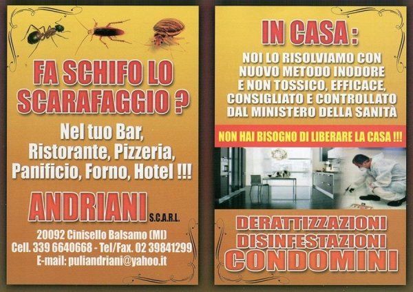 volantino su disinfestazioni e derattizzazioni