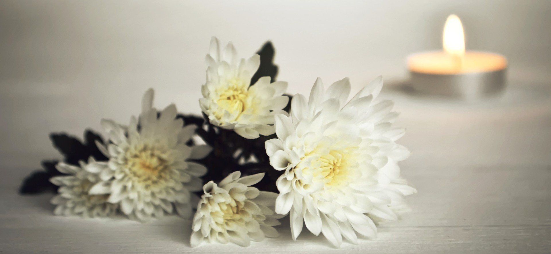 cremation services white flowers tea light candle