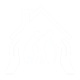 influenza icon