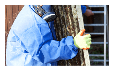 asbestos removal services