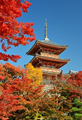 Restaurant — Japanese Castle Tower in Chesapeake, VA