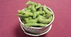 Edamame — Chesapeake, VA — Kyoto Japanese Steak House
