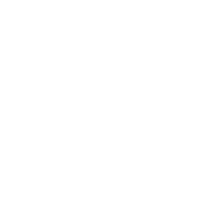 Electrical expert icon
