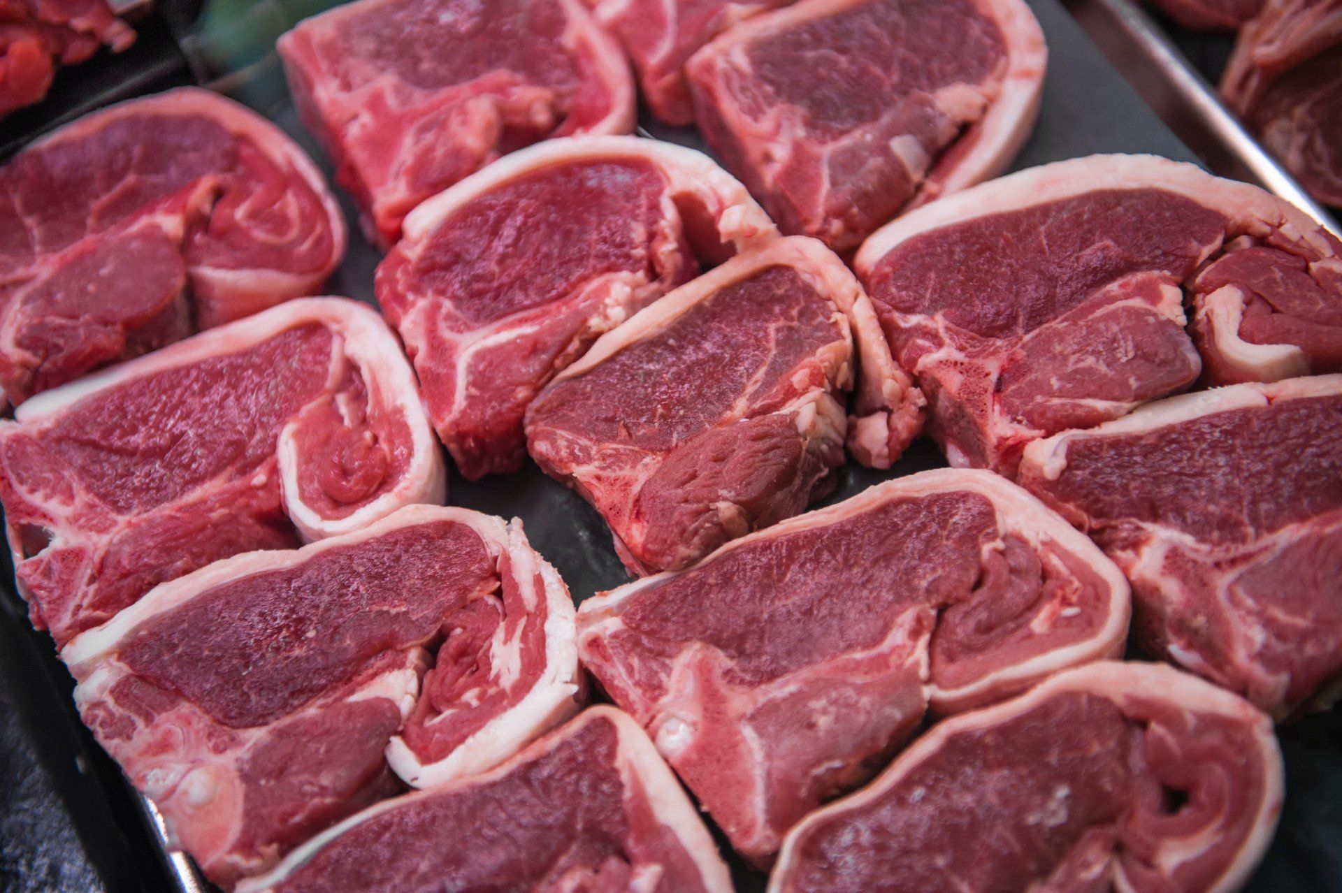 lamb