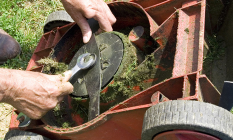 Hedge cutter maintenance and repairs