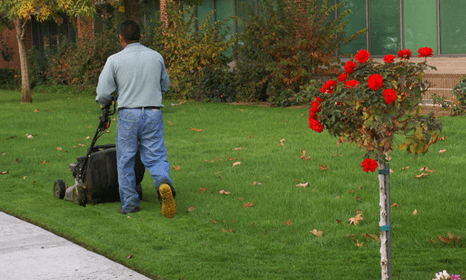 garden equipment repairs