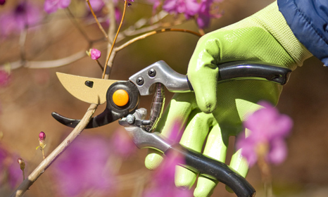 Hand shears