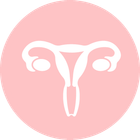 Icona - sistema riproduttivo femminile