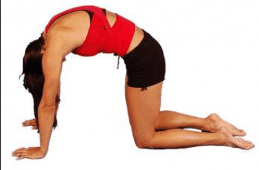 cat back stretch — Chiropractic Exercises in Saraland, AL cat back stretch — Chiropractic Exercises in Saraland, AL