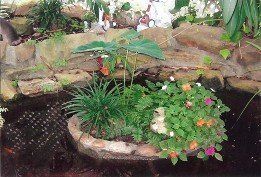 PondKiddieParkSC