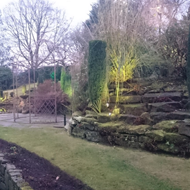 outdoor space with trees