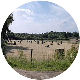 Hay contractors